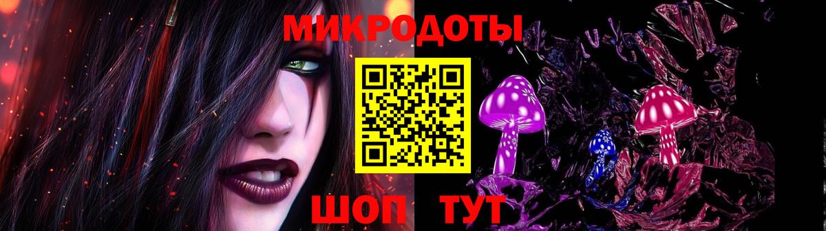 Галлюциногенные грибы Psilocybine cubensis Керчь